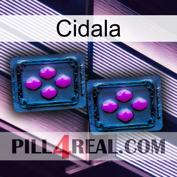 Cidala 03.jpg